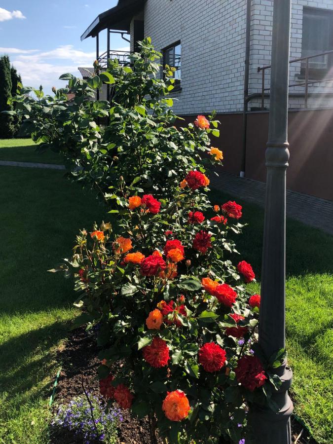 Arvydo Gylio Sodyba Ignalina Exteriör bild